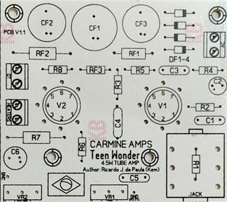 Placa de circuito Teen Wonder